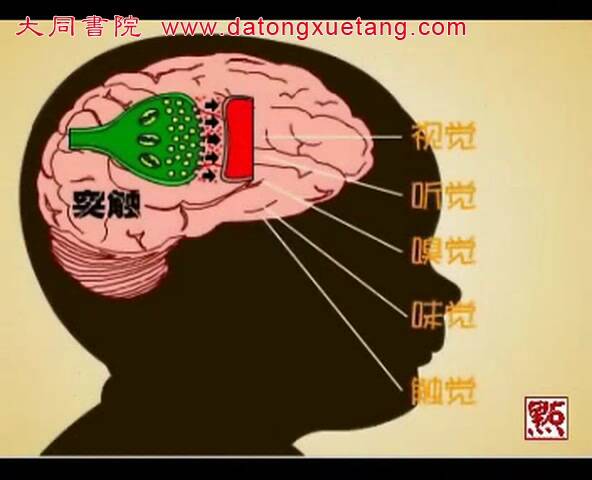 什么样的心
