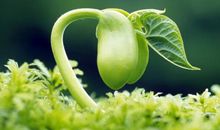 我家来了不速之客