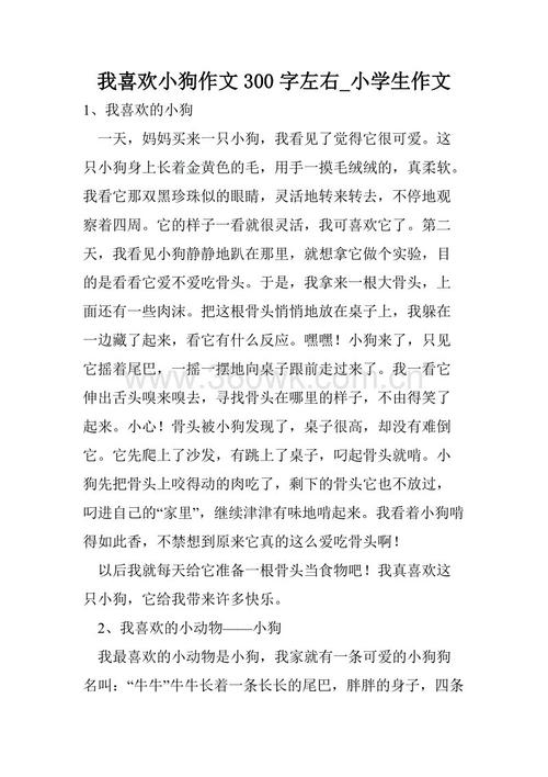 我喜欢冬天作文中的300个单词