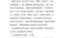 我喜欢冬天作文300字