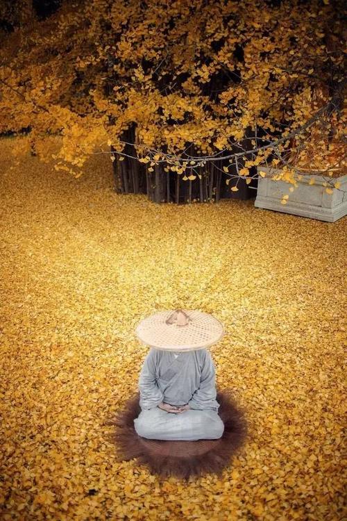 宽容造就一颗正常的心