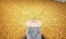 隐忍造就平常心