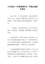关于失落的组成