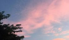 你的天空是我的城读后感