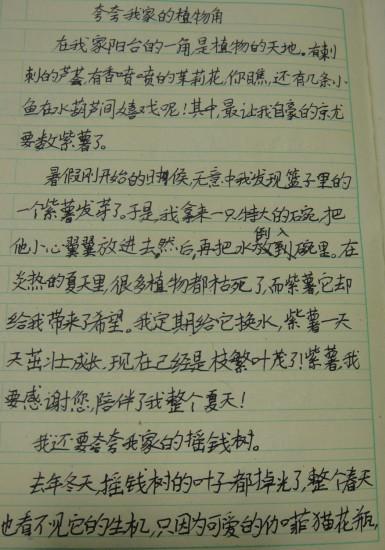 赞美我们的“老顽童”