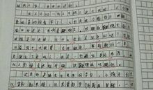 描写粽子的作文