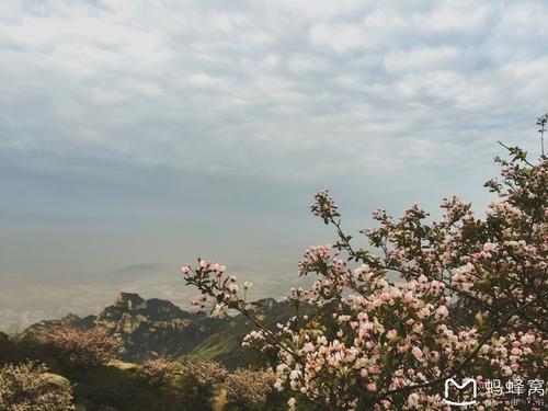 泰山之旅