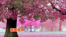 笑声在幸福中闪烁