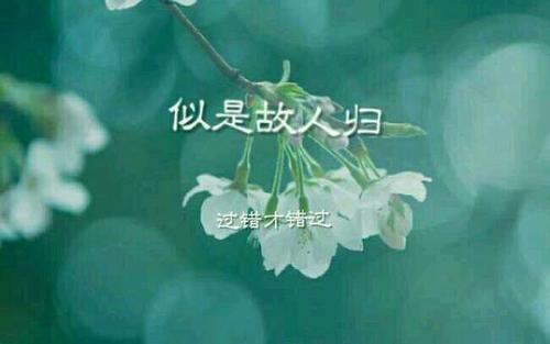 好像老朋友