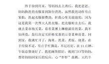 做家务的作文100字