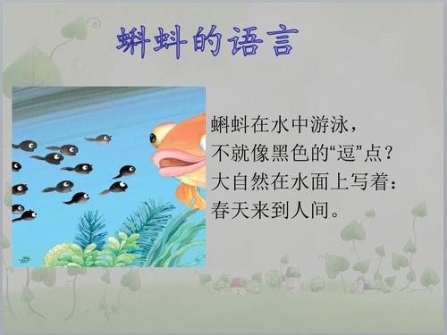 我懂大自然的语言