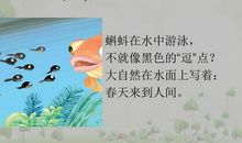 我读懂了大自然的语言