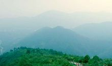 拨开迷雾，朝着梦想飞