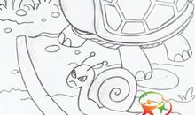 蜗牛和乌龟赛跑