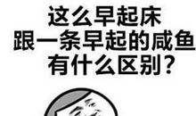 会说外星语的表弟