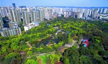 公园里的动物园