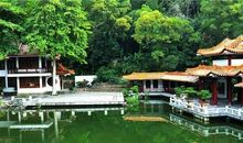 秋天的仙湖植物园