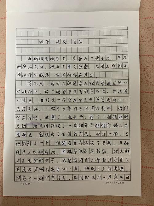 我打败了那篇难听的论文400字
