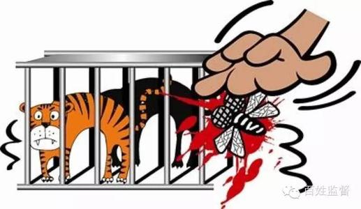 同一张桌子变成苍蝇