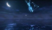 此生有幸能成为你的微光