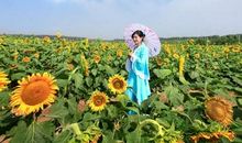 我喜欢家乡的碧荷湾