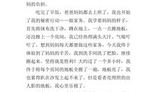 做家务的作文600字