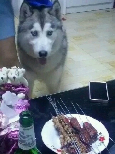 时光飞逝