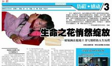 生命之花悄然绽放