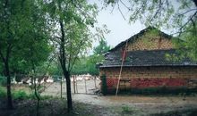 爷爷奶奶的小山村