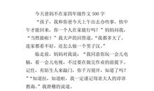 爸妈不在家的一天作文