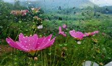 一层秋雨一层凉