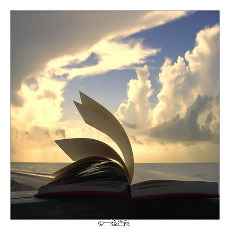 青春回忆录