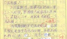 做家务的作文800字