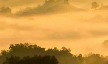 失败也是一种美