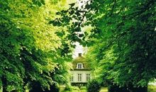 我心中的绿色校园