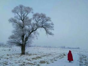 雪美人