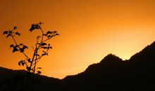 故乡——我心中的风景