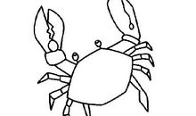 爱“耍钳子”的大螃蟹