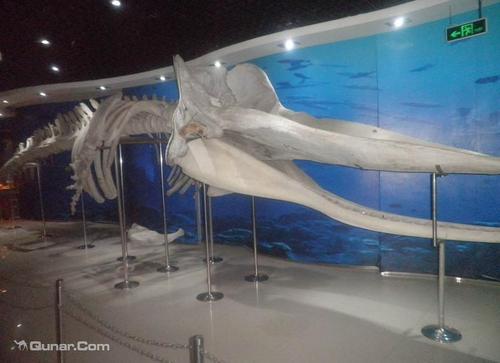 植物标本室旅行须知