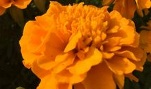 不忘那一抹秋色