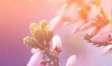 阳光是一剂良药