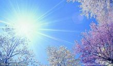 文学，我永远的天空