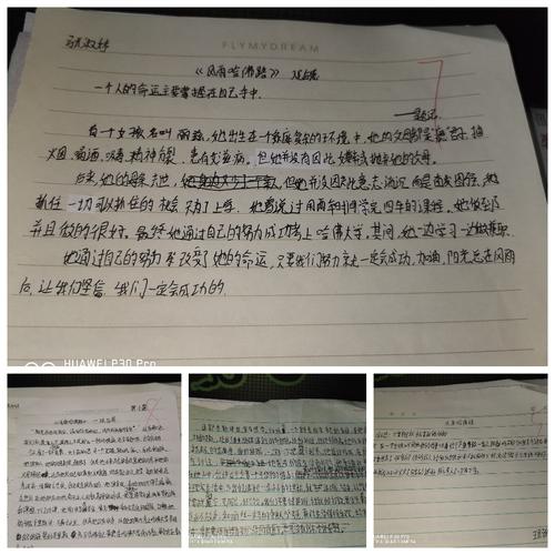 关于“风雨哈弗路”的思考