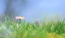 倾听小草的快乐