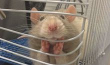 晒晒我的呆萌小弟