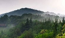 走进九龙涧，感受大自然