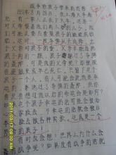 描述菜园的成分