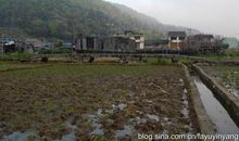 我是苍南的五洞桥