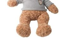 我的泰迪熊玩具