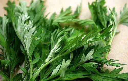 蒿木端午节